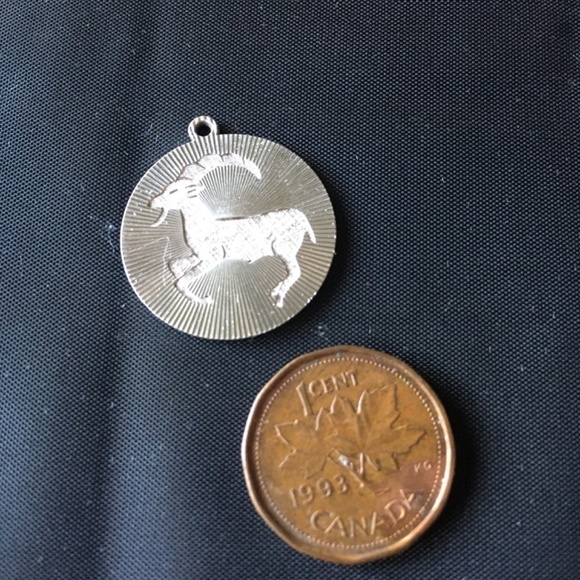 Aries Sterling Silver ram pendant - Picture 5 of 8